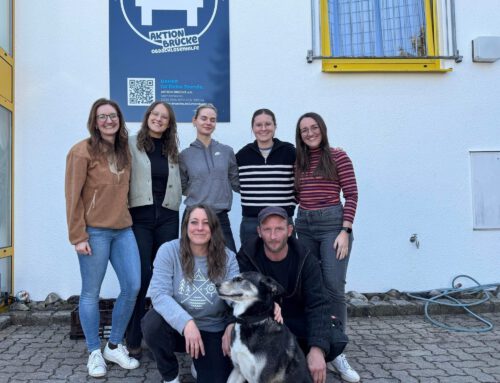 Volunteering Day mit BMW