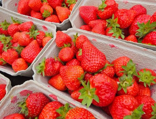 Lebensmittelrettung ist kein Trend