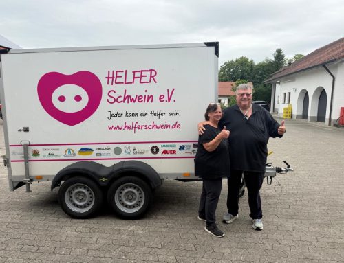Freundschaft, die verbindet